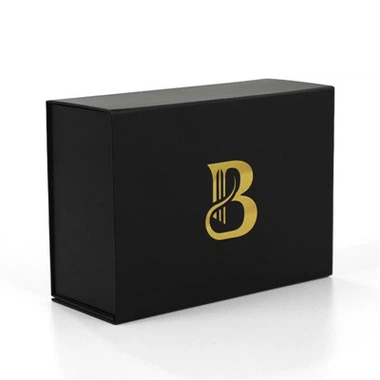 Zwarte Magnetiese geneigde Box Ganse