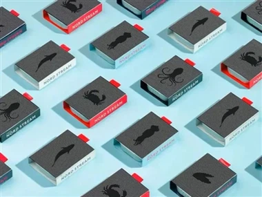 Wat is ‘t beste pakkingsontwerpe die u Ever ziet?